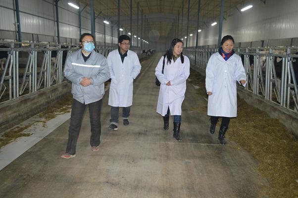 点此在新窗口浏览图片